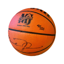 Ballon Michael Jordan